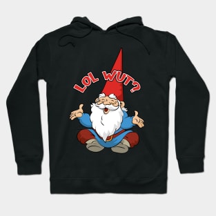 Gnome lol wut Hoodie